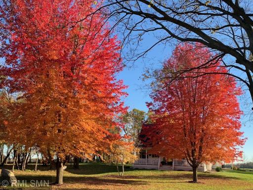 The fall colors at this home are spectacular!