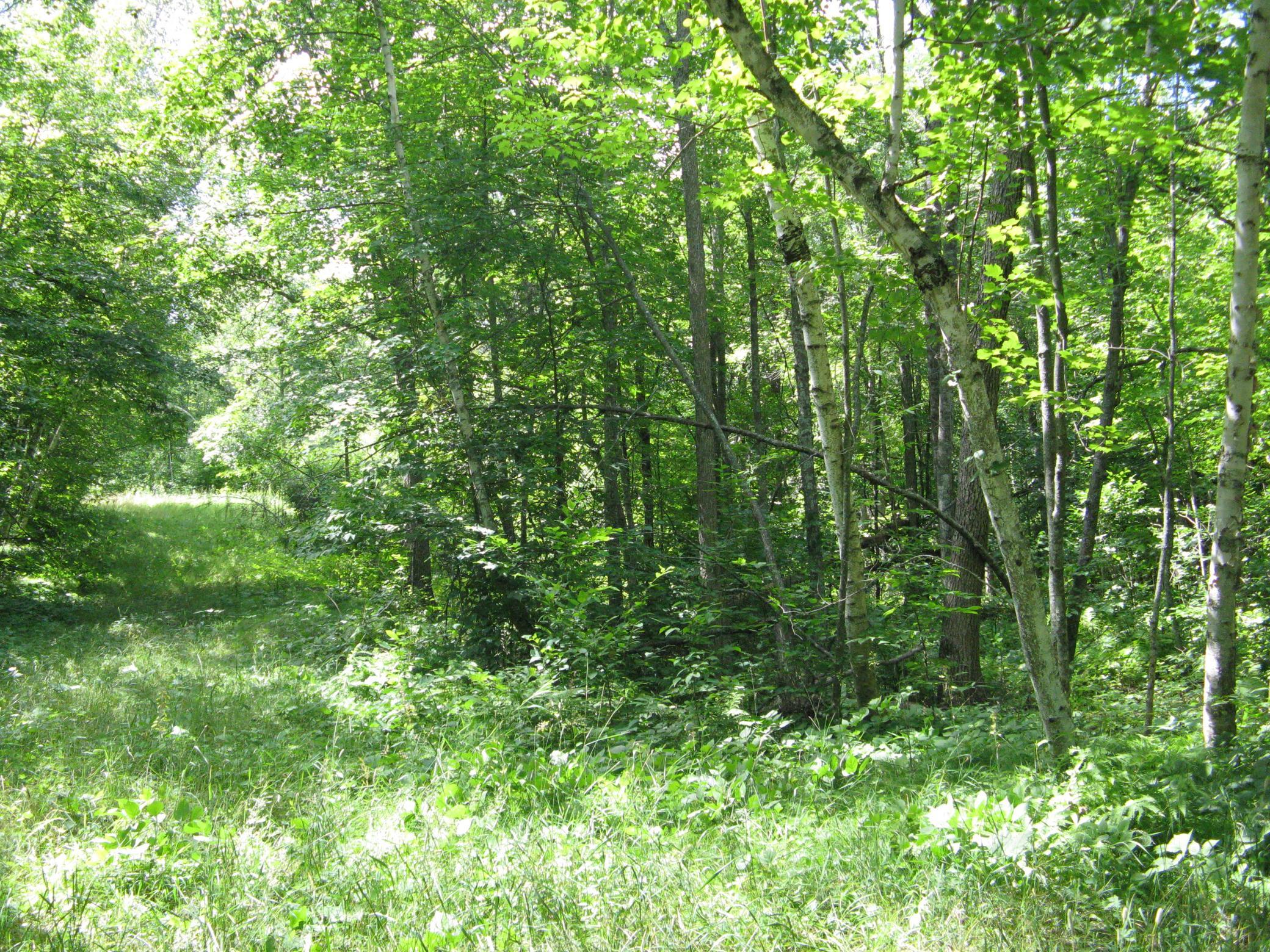 IMG_3728.JPG