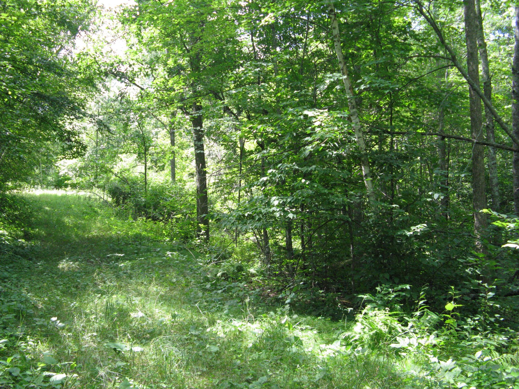 IMG_3729.JPG