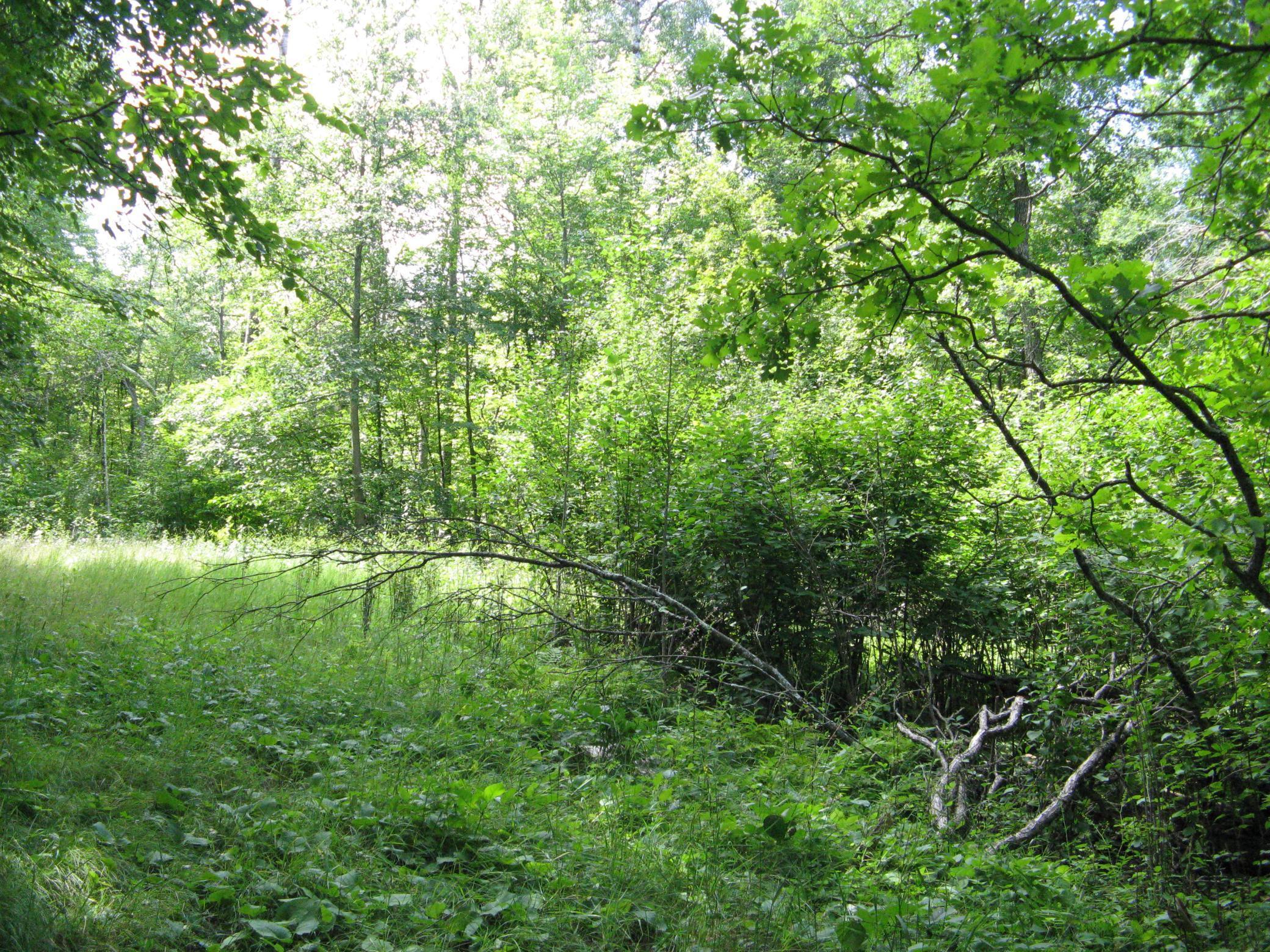 IMG_3731.JPG
