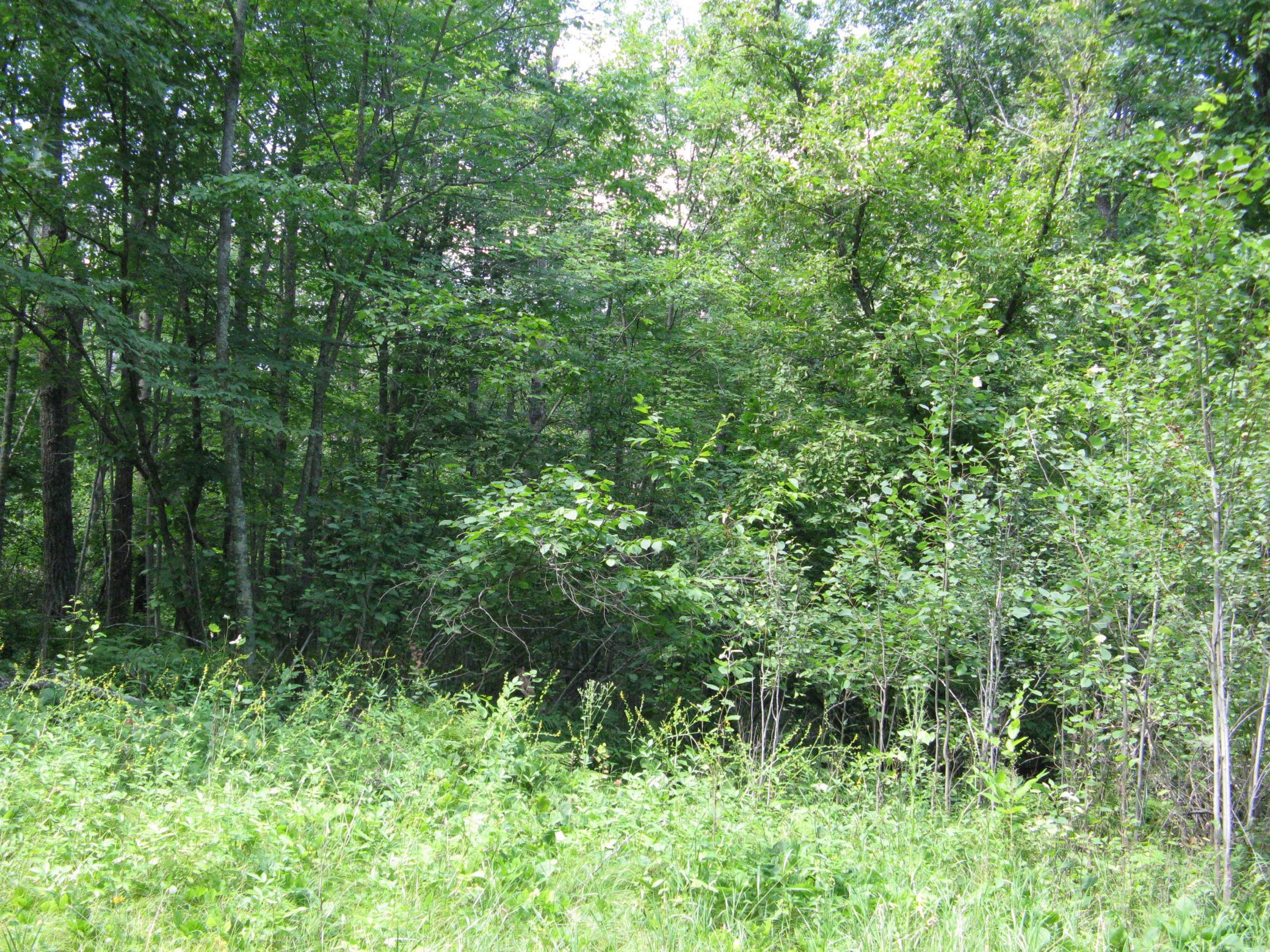 IMG_3733.JPG
