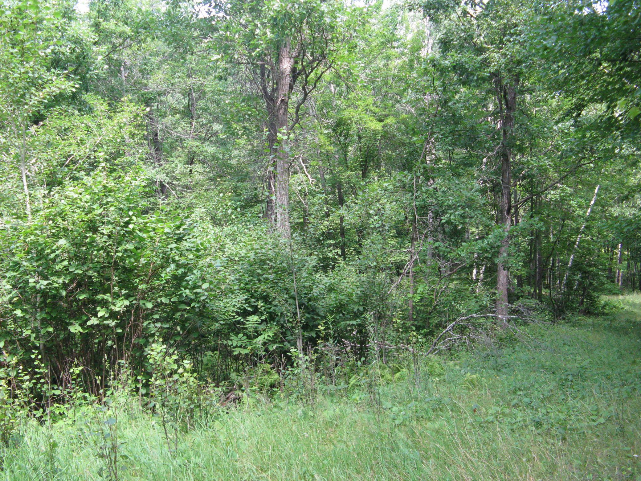 IMG_3736.JPG