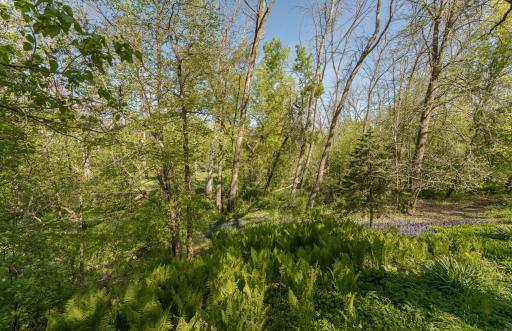 25226 720th Street, Hayfield, MN 55940