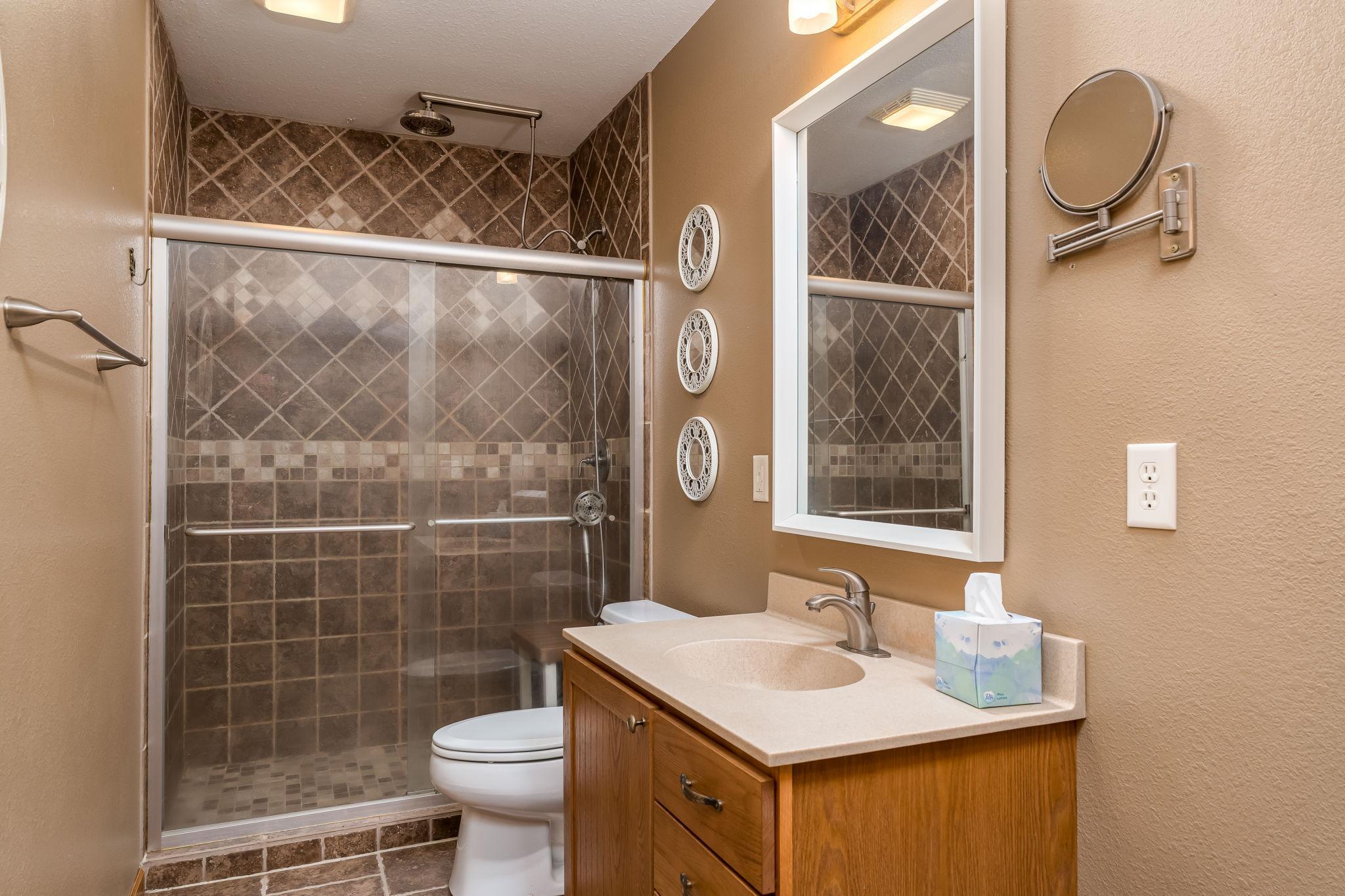 Lower Level Bathroom