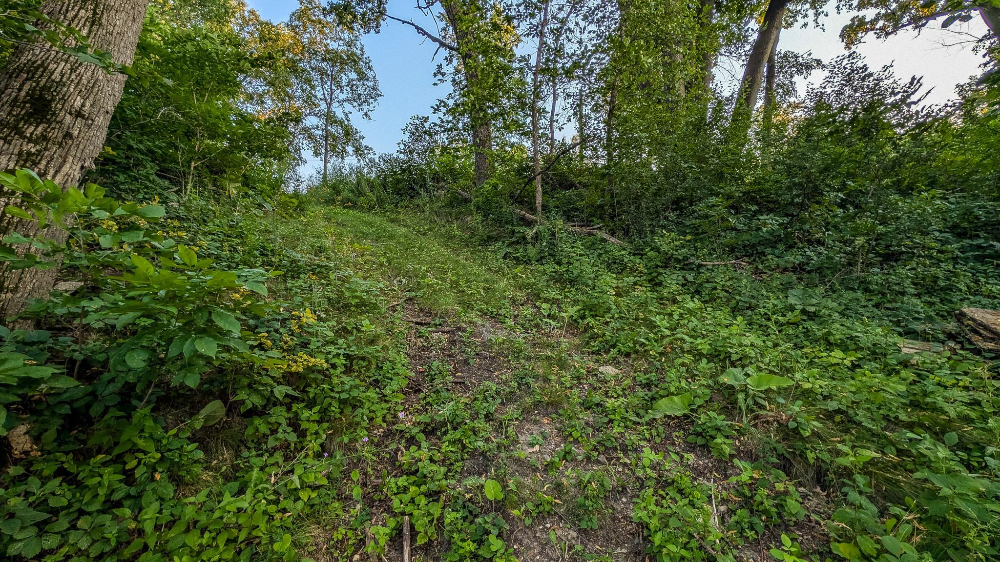 Oakwood Lots-18.jpg