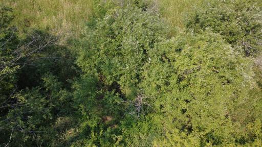 24+ acre seasonal recreational parcel featuring natural lowland habitat, hunting potential, and excellent opportunities for outdoor enjoyment