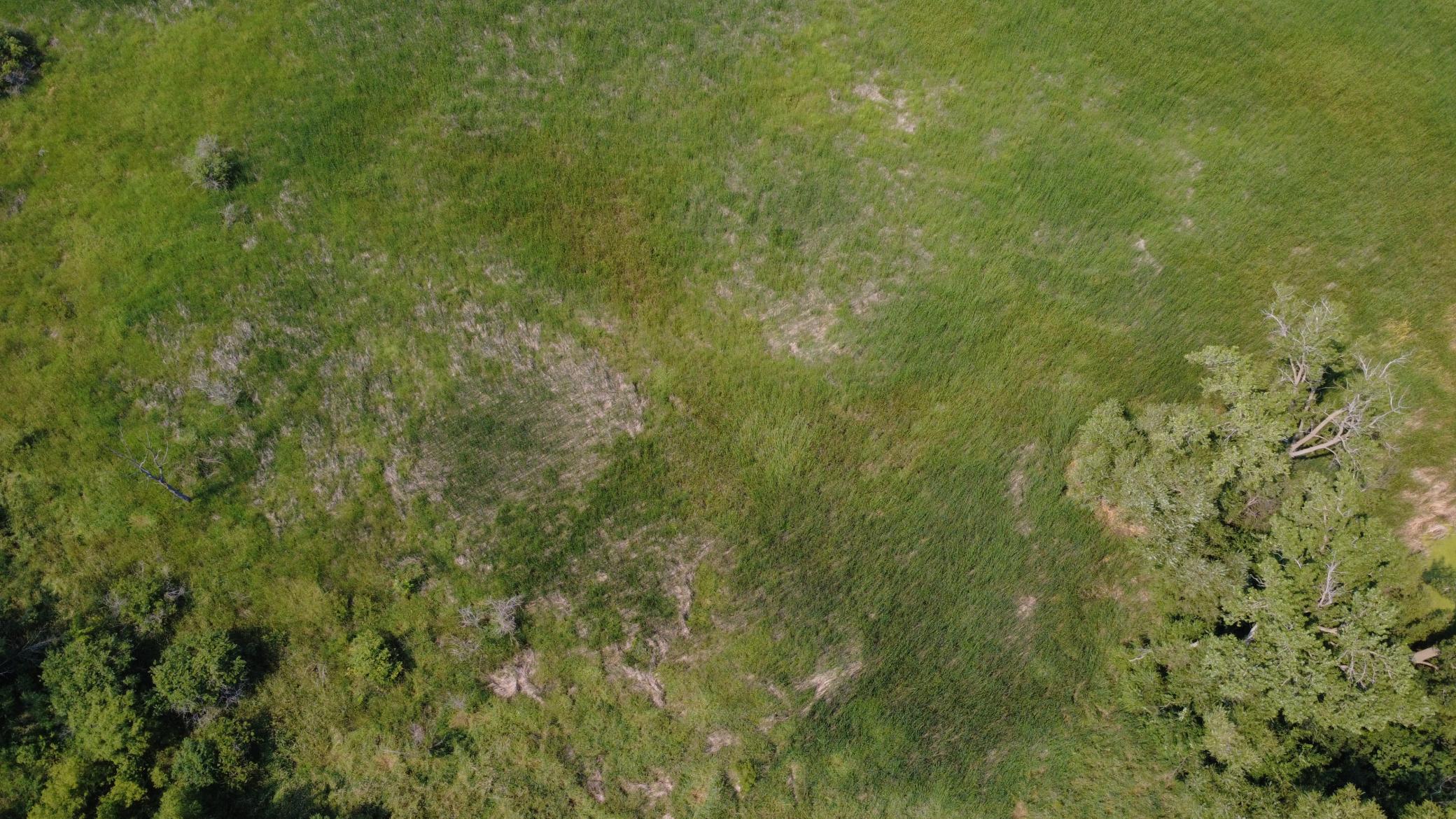 24+ acre seasonal recreational parcel featuring natural lowland habitat, hunting potential, and excellent opportunities for outdoor enjoyment