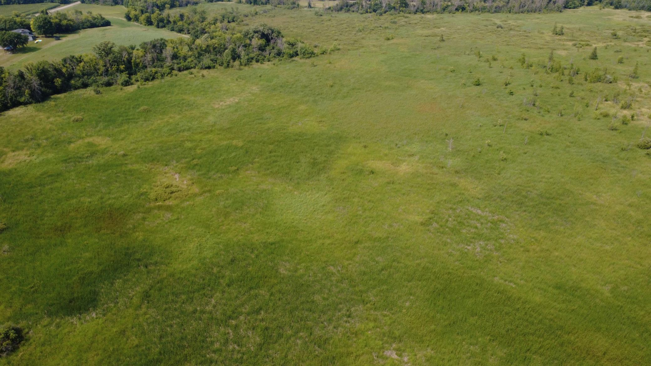 24+ acre seasonal recreational parcel featuring natural lowland habitat, hunting potential, and excellent opportunities for outdoor enjoyment