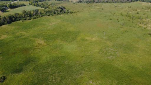 24+ acre seasonal recreational parcel featuring natural lowland habitat, hunting potential, and excellent opportunities for outdoor enjoyment
