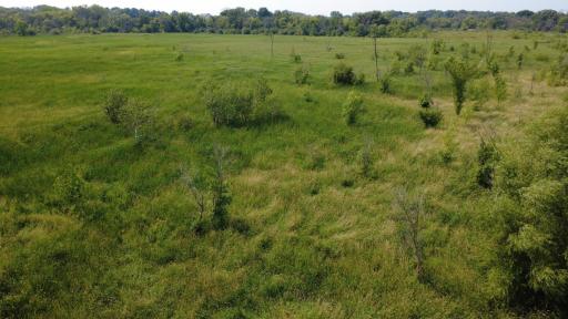 24+ acre seasonal recreational parcel featuring natural lowland habitat, hunting potential, and excellent opportunities for outdoor enjoyment