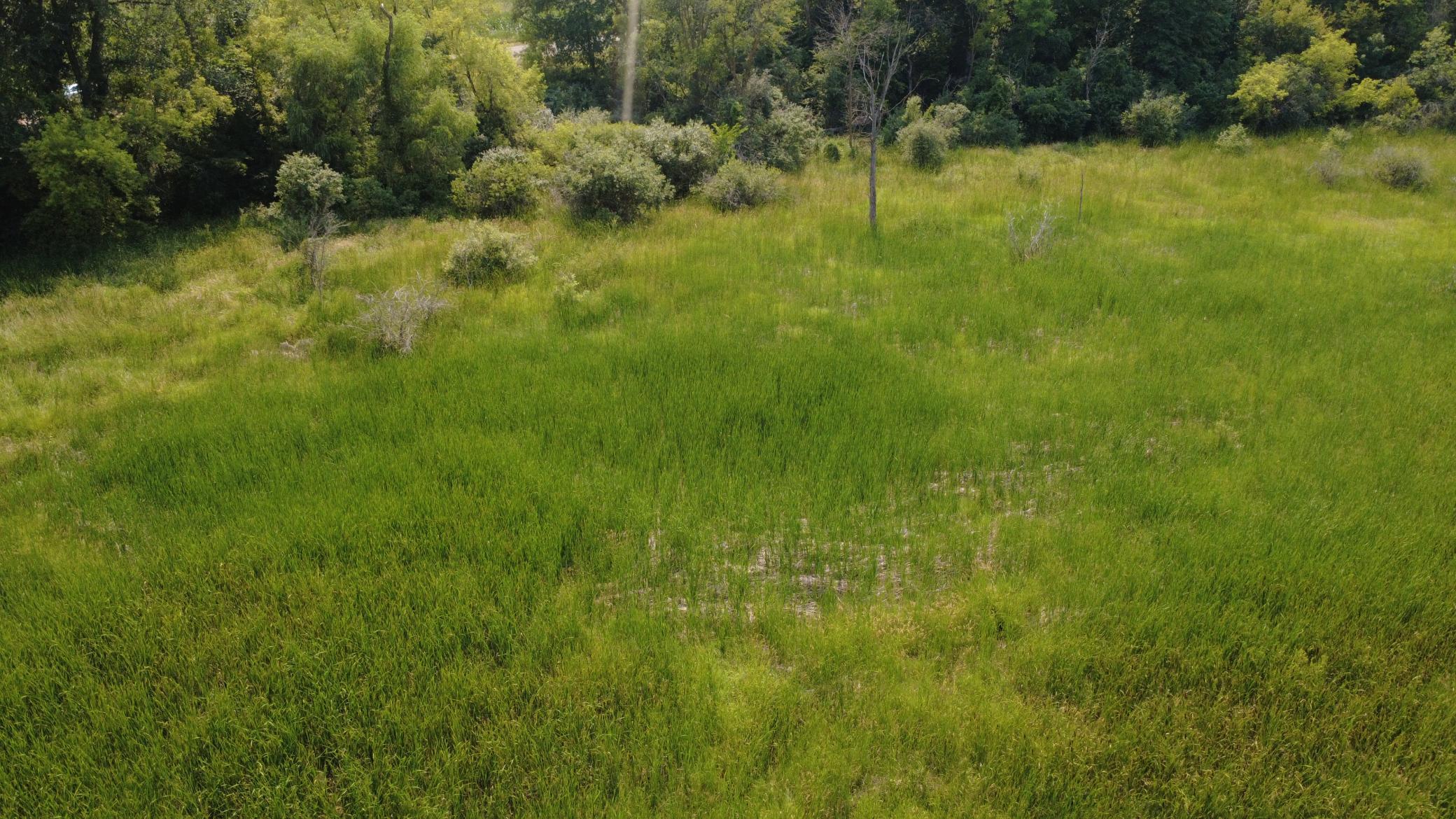 24+ acre seasonal recreational parcel featuring natural lowland habitat, hunting potential, and excellent opportunities for outdoor enjoyment