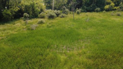 24+ acre seasonal recreational parcel featuring natural lowland habitat, hunting potential, and excellent opportunities for outdoor enjoyment