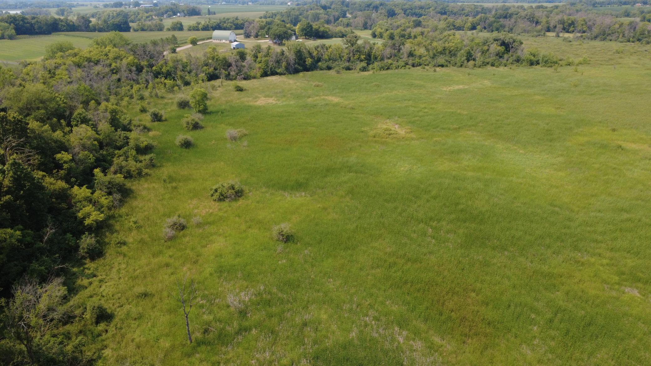 24+ acre seasonal recreational parcel featuring natural lowland habitat, hunting potential, and excellent opportunities for outdoor enjoyment