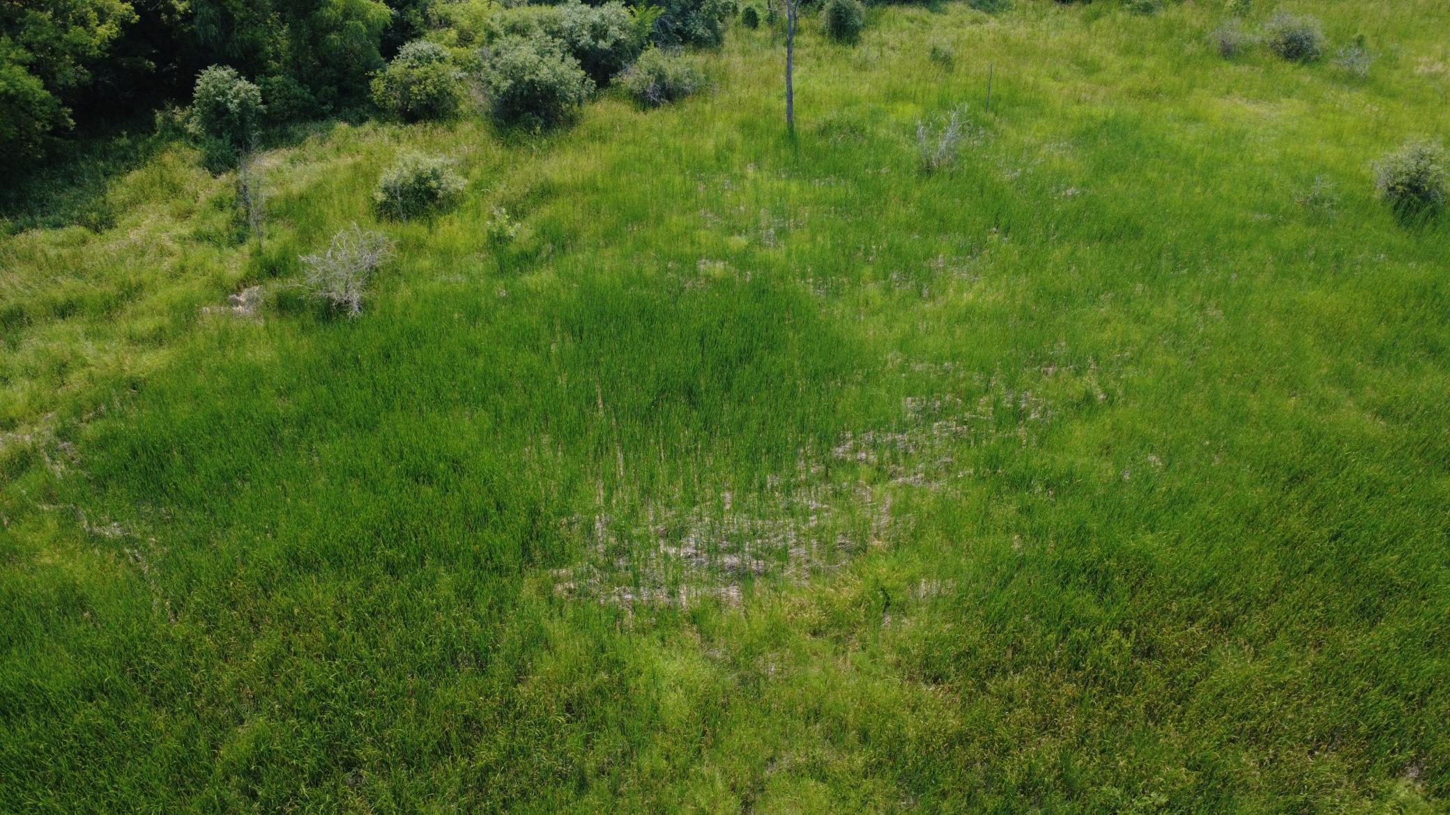 24+ acre seasonal recreational parcel featuring natural lowland habitat, hunting potential, and excellent opportunities for outdoor enjoyment