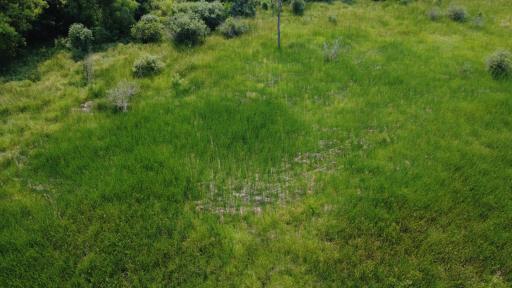 24+ acre seasonal recreational parcel featuring natural lowland habitat, hunting potential, and excellent opportunities for outdoor enjoyment