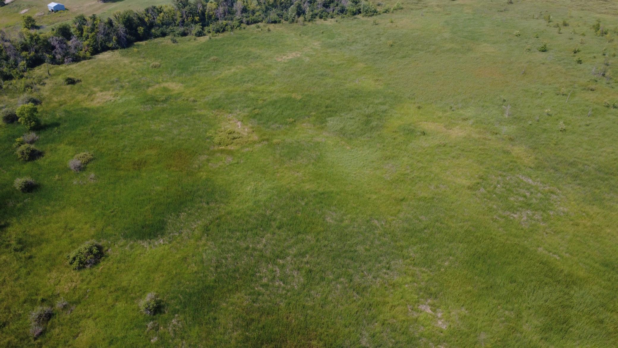 24+ acre seasonal recreational parcel featuring natural lowland habitat, hunting potential, and excellent opportunities for outdoor enjoyment