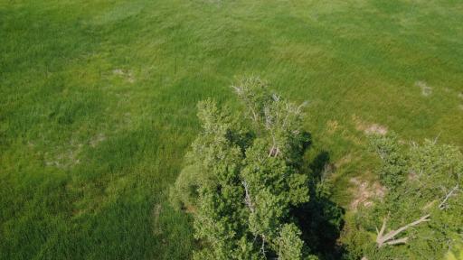 24+ acre seasonal recreational parcel featuring natural lowland habitat, hunting potential, and excellent opportunities for outdoor enjoyment