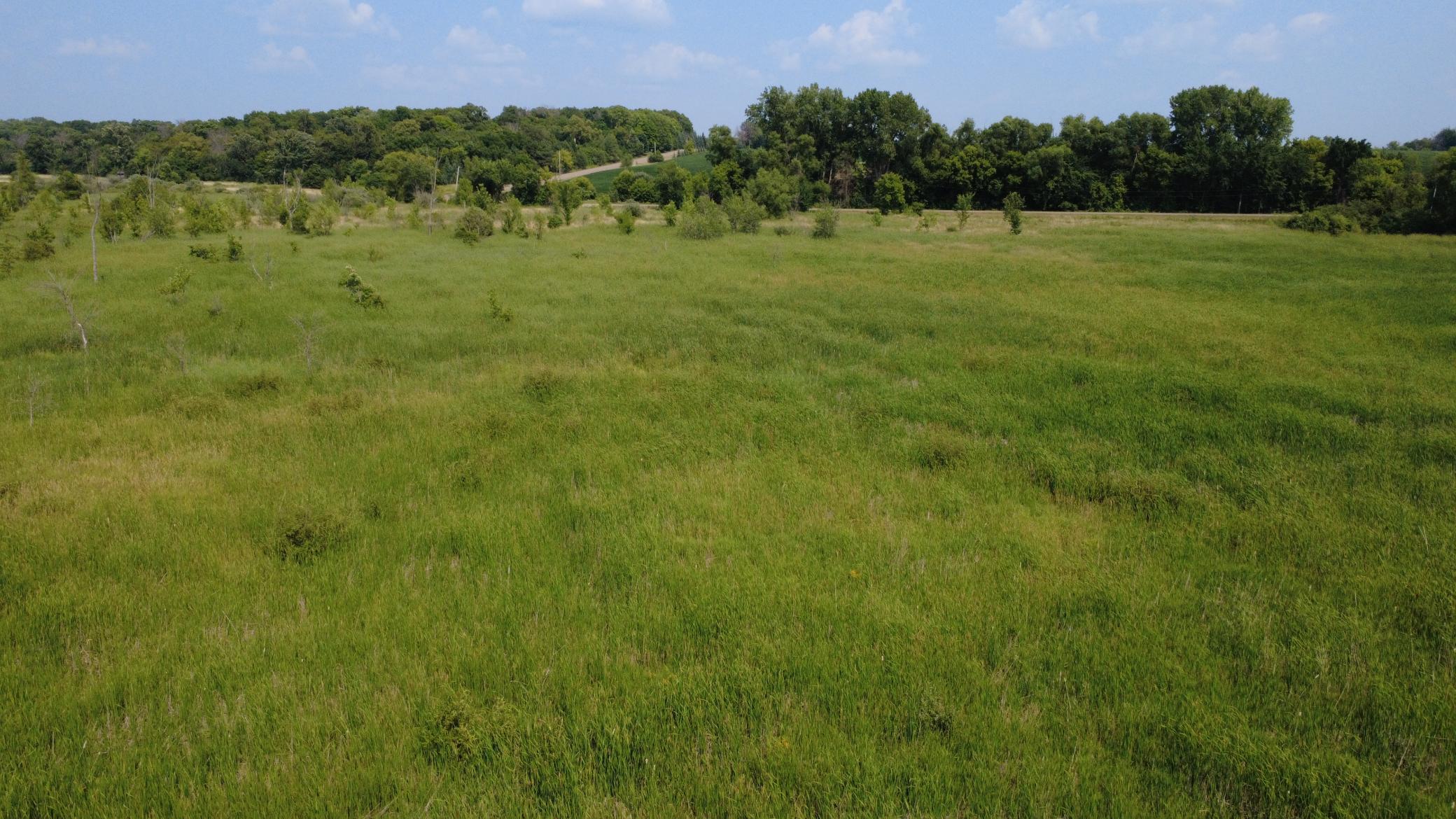 24+ acre seasonal recreational parcel featuring natural lowland habitat, hunting potential, and excellent opportunities for outdoor enjoyment