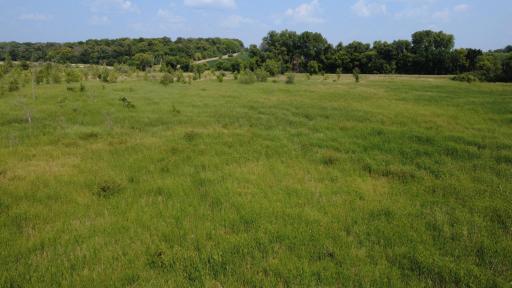 24+ acre seasonal recreational parcel featuring natural lowland habitat, hunting potential, and excellent opportunities for outdoor enjoyment