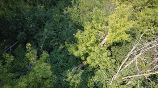 24+ acre seasonal recreational parcel featuring natural lowland habitat, hunting potential, and excellent opportunities for outdoor enjoyment