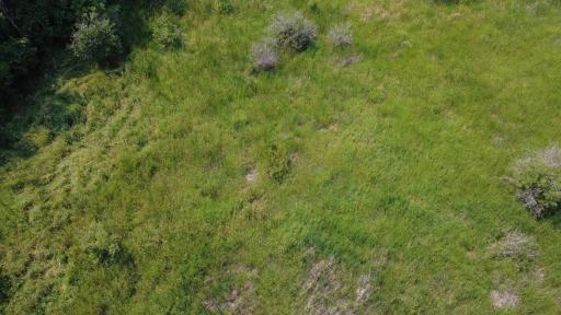 24+ acre seasonal recreational parcel featuring natural lowland habitat, hunting potential, and excellent opportunities for outdoor enjoyment