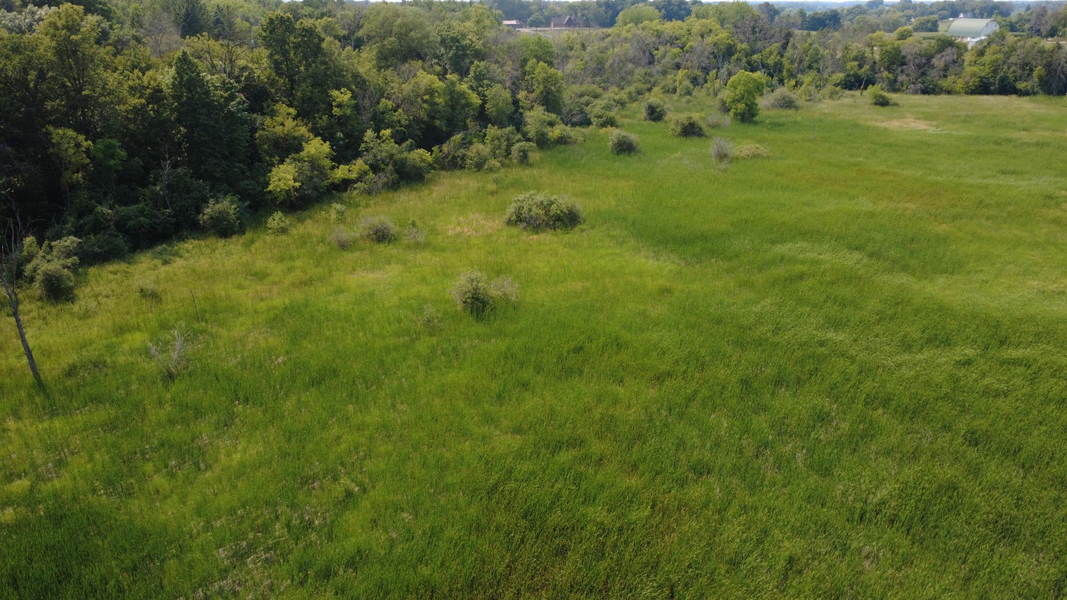 24+ acre seasonal recreational parcel featuring natural lowland habitat, hunting potential, and excellent opportunities for outdoor enjoyment