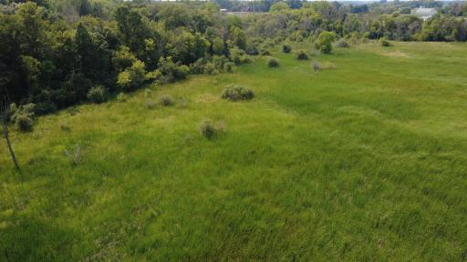 24+ acre seasonal recreational parcel featuring natural lowland habitat, hunting potential, and excellent opportunities for outdoor enjoyment