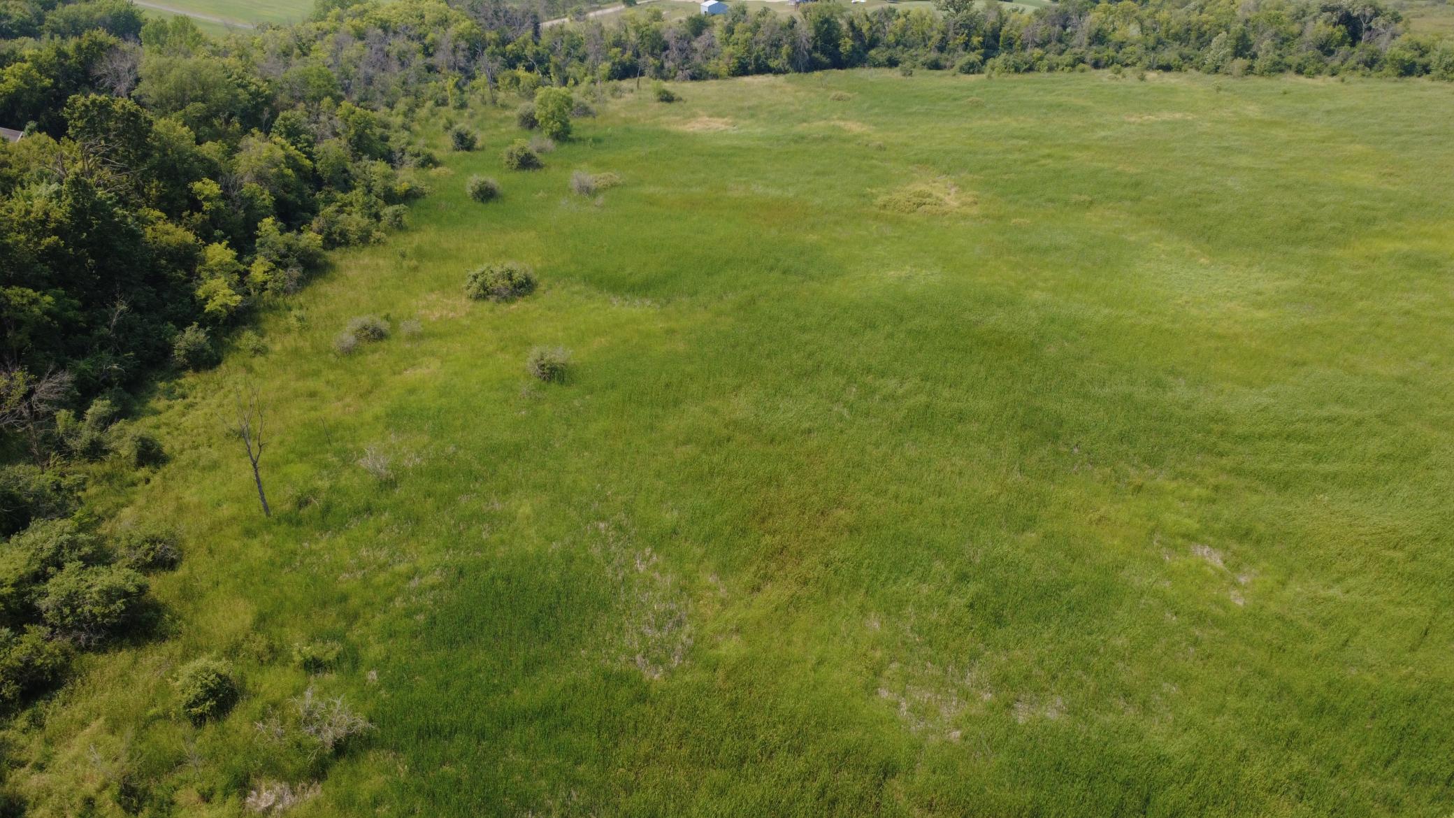 24+ acre seasonal recreational parcel featuring natural lowland habitat, hunting potential, and excellent opportunities for outdoor enjoyment