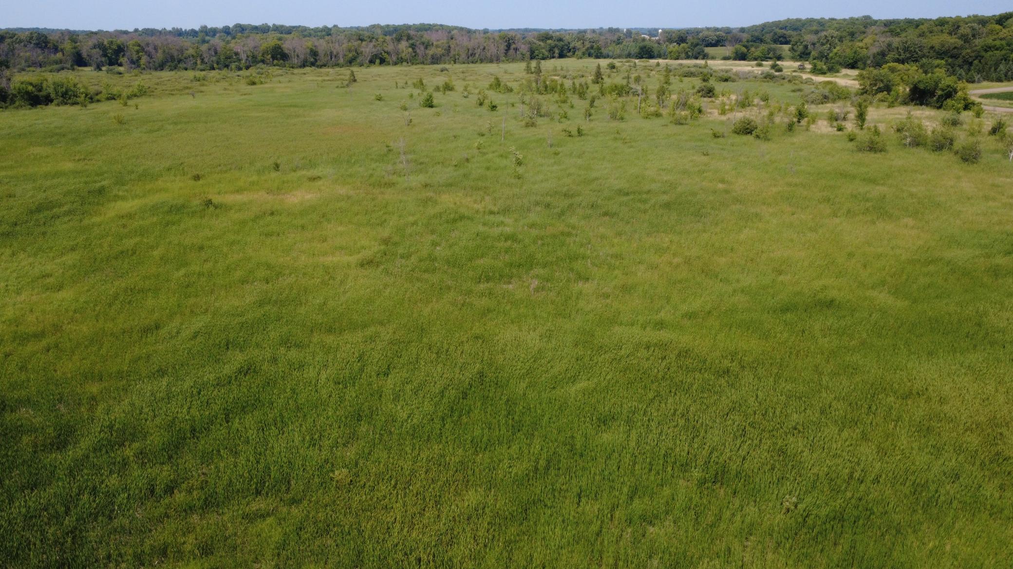 24+ acre seasonal recreational parcel featuring natural lowland habitat, hunting potential, and excellent opportunities for outdoor enjoyment
