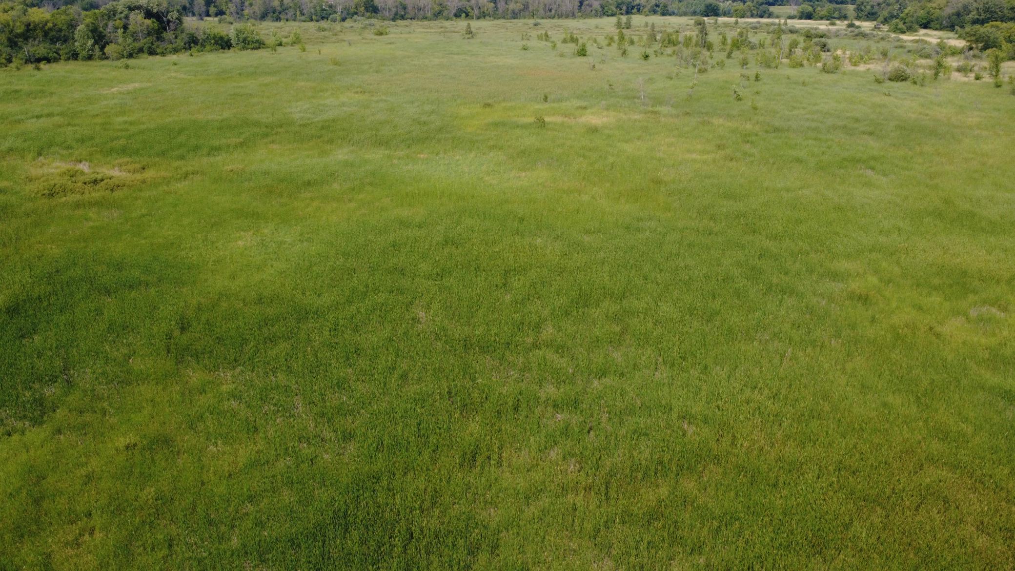 24+ acre seasonal recreational parcel featuring natural lowland habitat, hunting potential, and excellent opportunities for outdoor enjoyment