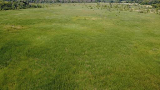 24+ acre seasonal recreational parcel featuring natural lowland habitat, hunting potential, and excellent opportunities for outdoor enjoyment