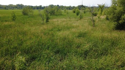 24+ acre seasonal recreational parcel featuring natural lowland habitat, hunting potential, and excellent opportunities for outdoor enjoyment