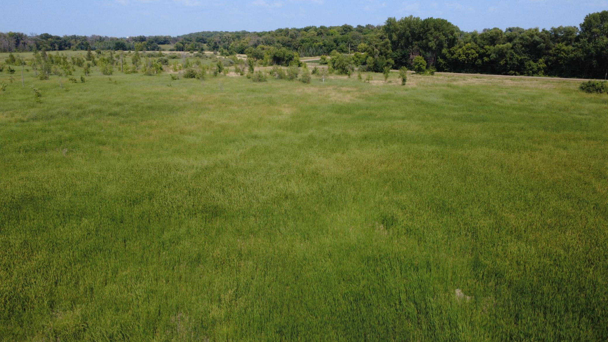 24+ acre seasonal recreational parcel featuring natural lowland habitat, hunting potential, and excellent opportunities for outdoor enjoyment
