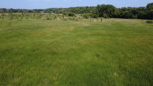 24+ acre seasonal recreational parcel featuring natural lowland habitat, hunting potential, and excellent opportunities for outdoor enjoyment