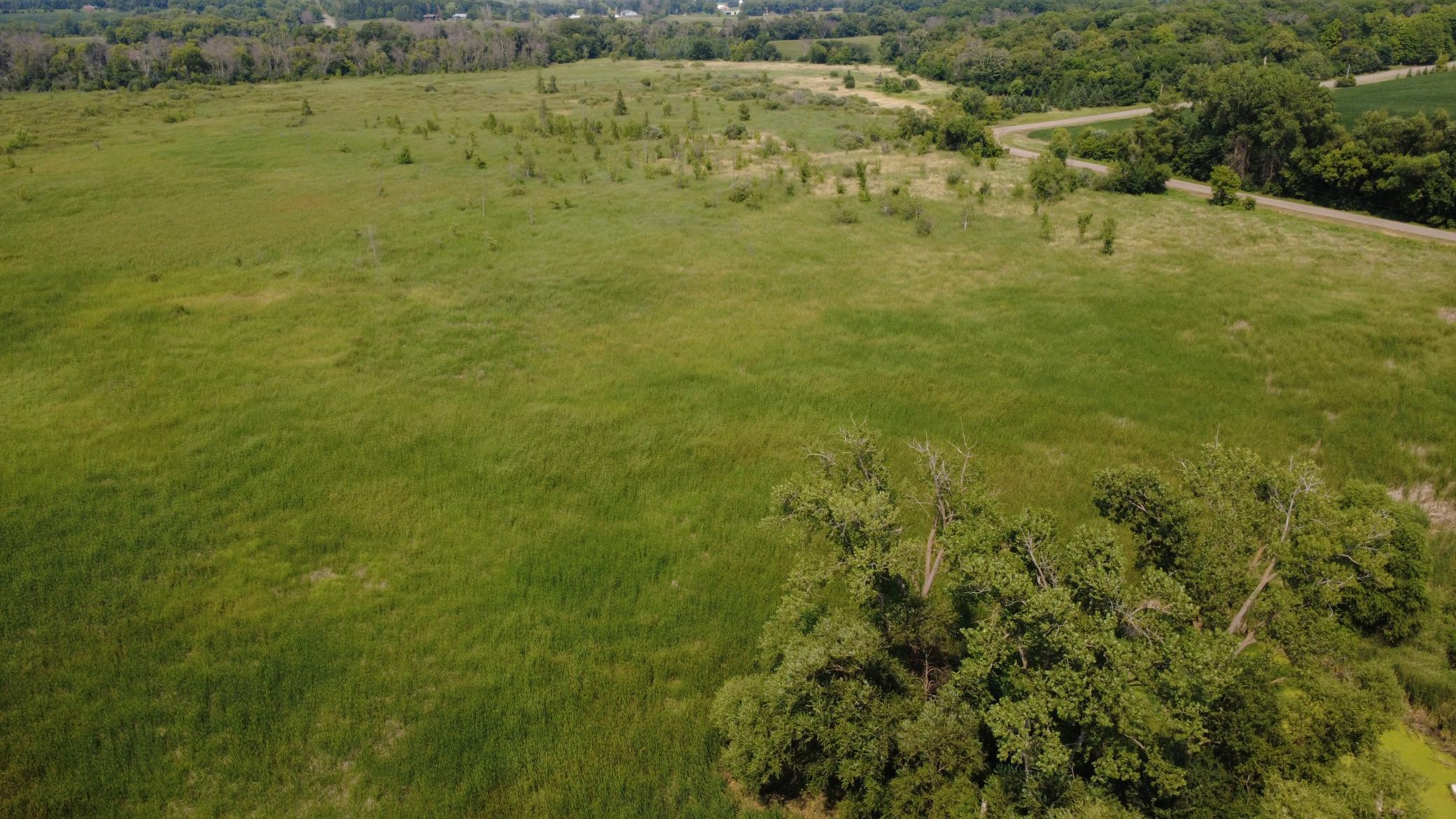24+ acre seasonal recreational parcel featuring natural lowland habitat, hunting potential, and excellent opportunities for outdoor enjoyment