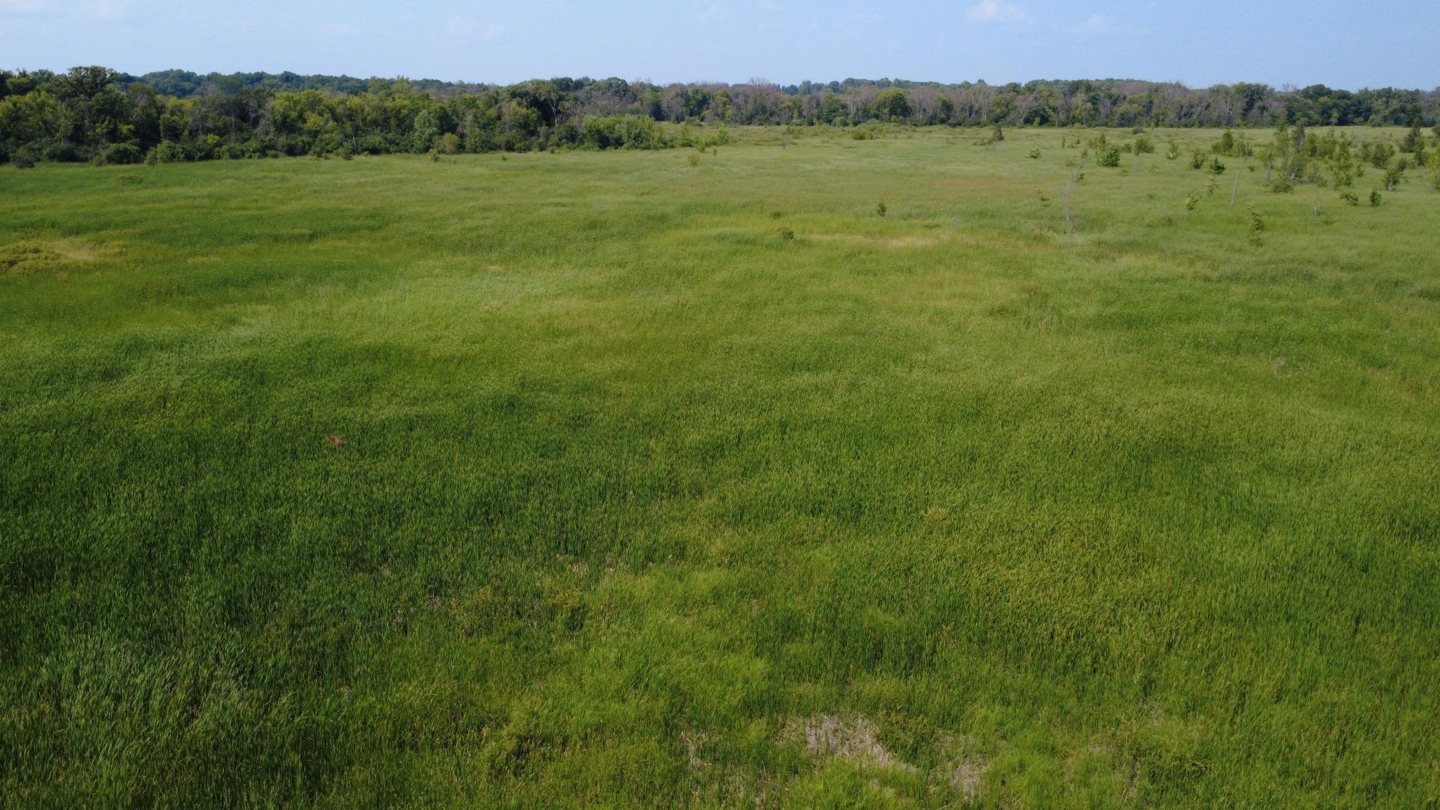 24+ acre seasonal recreational parcel featuring natural lowland habitat, hunting potential, and excellent opportunities for outdoor enjoyment