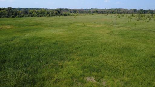 24+ acre seasonal recreational parcel featuring natural lowland habitat, hunting potential, and excellent opportunities for outdoor enjoyment