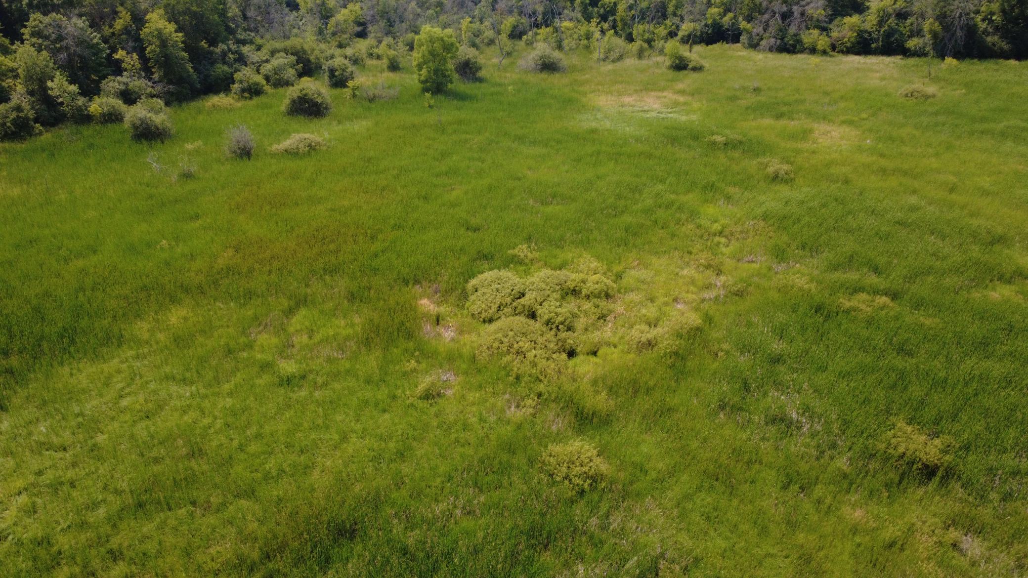 24+ acre seasonal recreational parcel featuring natural lowland habitat, hunting potential, and excellent opportunities for outdoor enjoyment