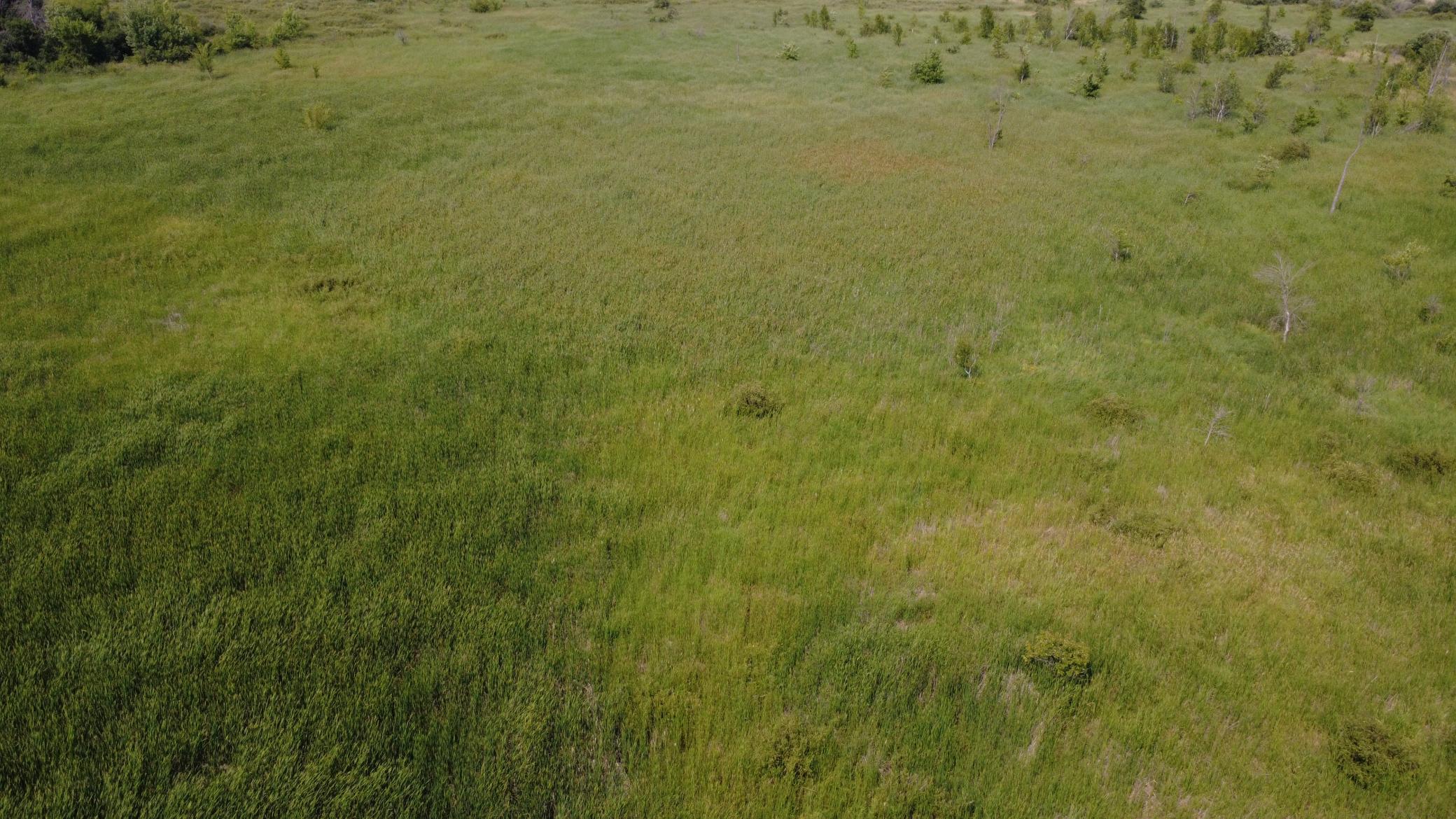 24+ acre seasonal recreational parcel featuring natural lowland habitat, hunting potential, and excellent opportunities for outdoor enjoyment