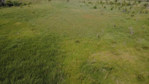 24+ acre seasonal recreational parcel featuring natural lowland habitat, hunting potential, and excellent opportunities for outdoor enjoyment