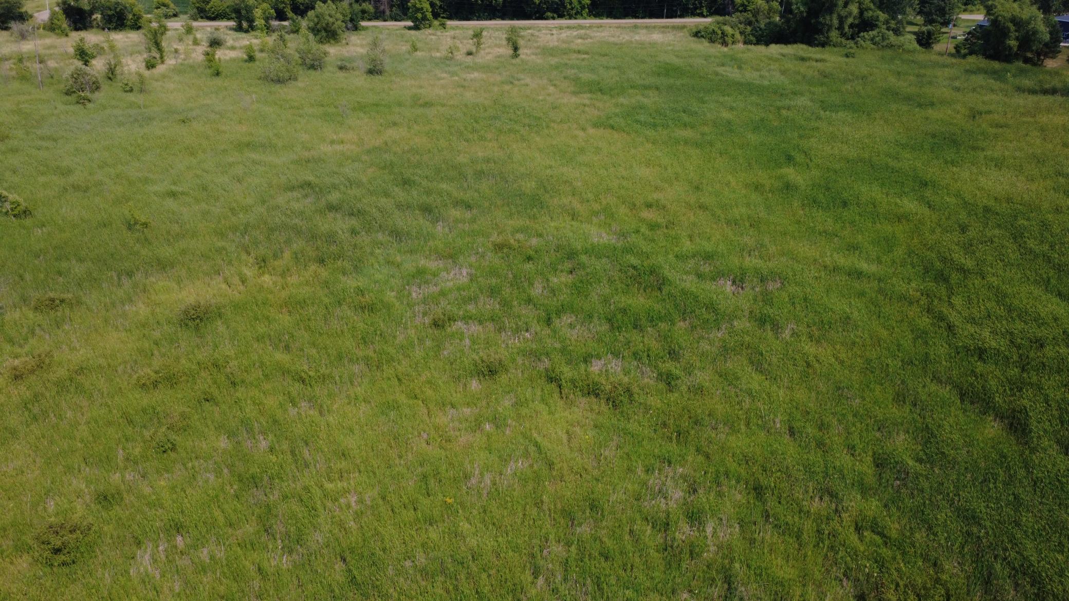 24+ acre seasonal recreational parcel featuring natural lowland habitat, hunting potential, and excellent opportunities for outdoor enjoyment