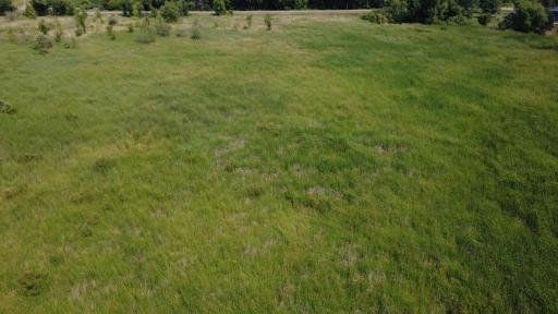 24+ acre seasonal recreational parcel featuring natural lowland habitat, hunting potential, and excellent opportunities for outdoor enjoyment