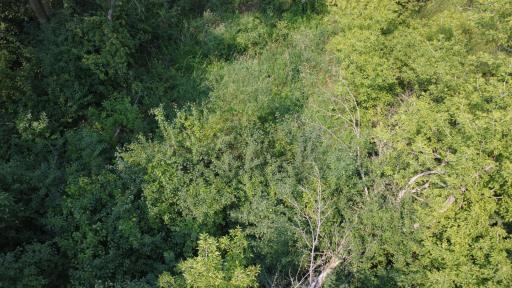 24+ acre seasonal recreational parcel featuring natural lowland habitat, hunting potential, and excellent opportunities for outdoor enjoyment