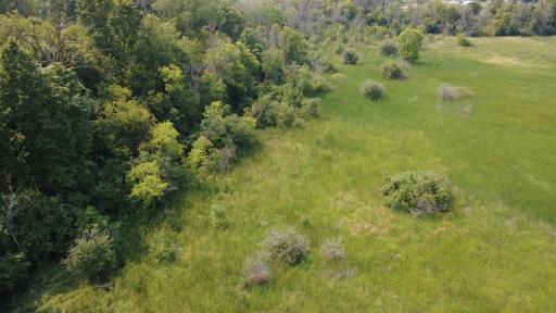 24+ acre seasonal recreational parcel featuring natural lowland habitat, hunting potential, and excellent opportunities for outdoor enjoyment