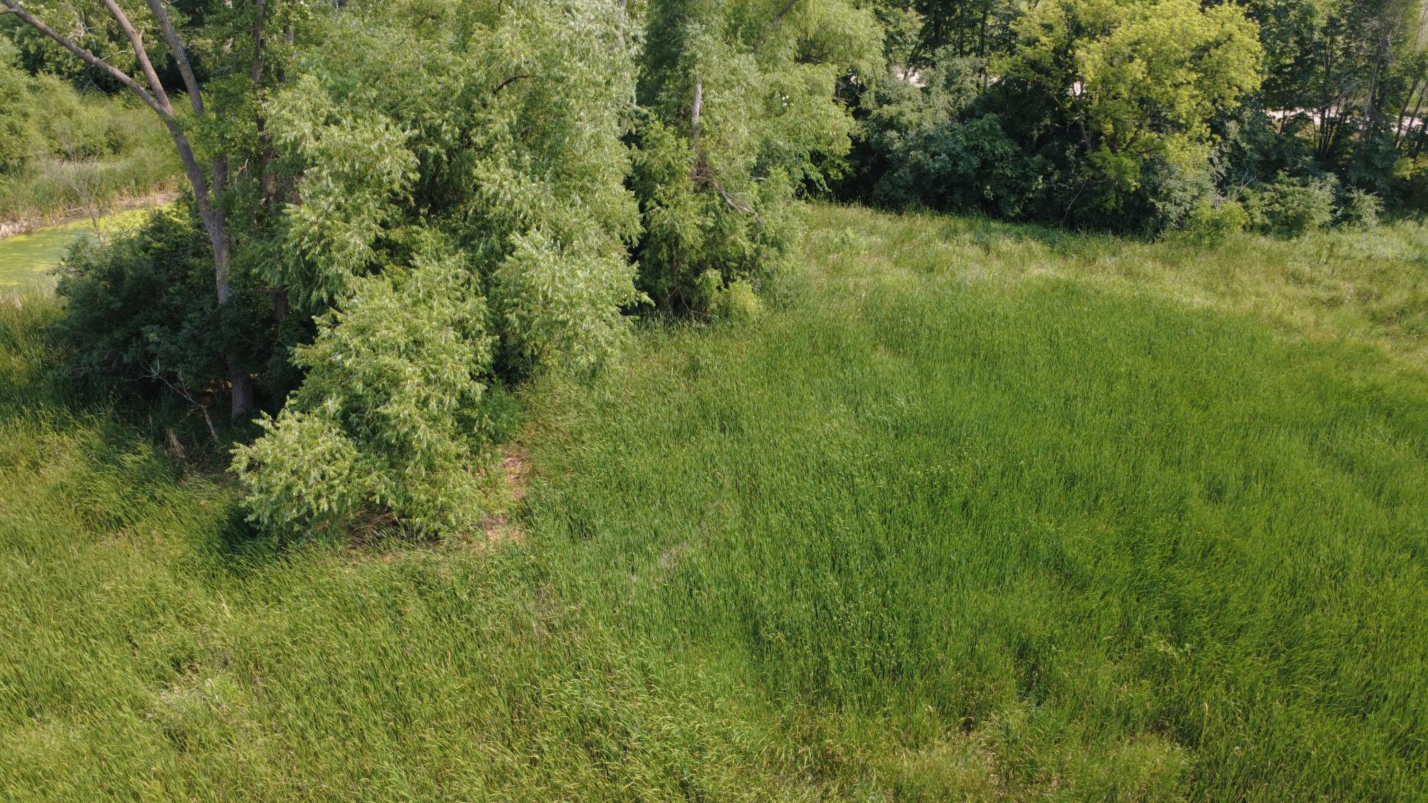 24+ acre seasonal recreational parcel featuring natural lowland habitat, hunting potential, and excellent opportunities for outdoor enjoyment
