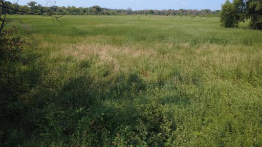 24+ acre seasonal recreational parcel featuring natural lowland habitat, hunting potential, and excellent opportunities for outdoor enjoyment