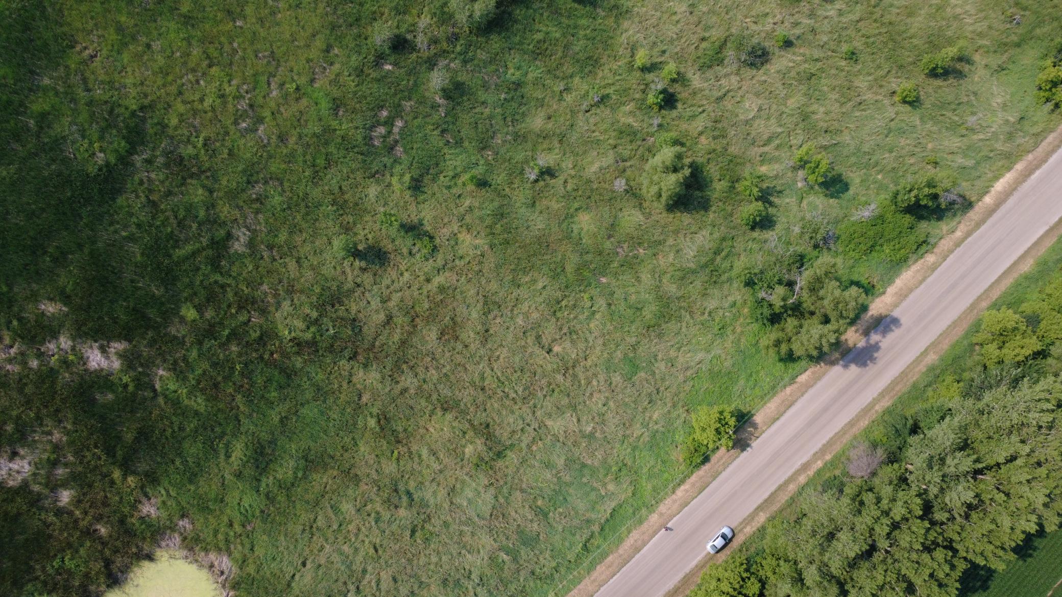 24+ acre seasonal recreational parcel featuring natural lowland habitat, hunting potential, and excellent opportunities for outdoor enjoyment
