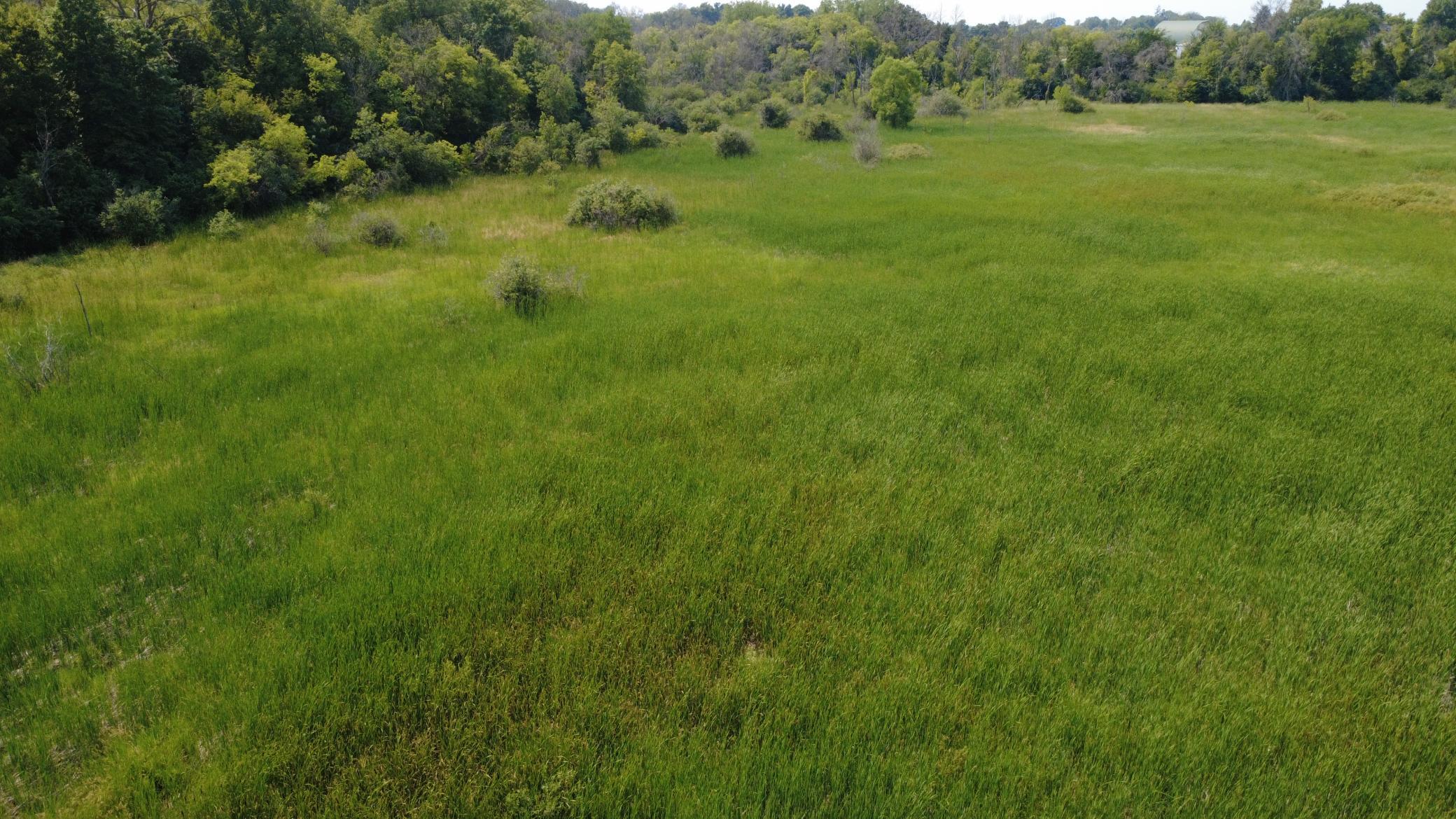 24+ acre seasonal recreational parcel featuring natural lowland habitat, hunting potential, and excellent opportunities for outdoor enjoyment