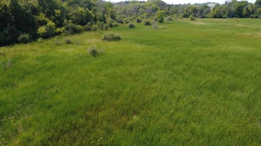 24+ acre seasonal recreational parcel featuring natural lowland habitat, hunting potential, and excellent opportunities for outdoor enjoyment