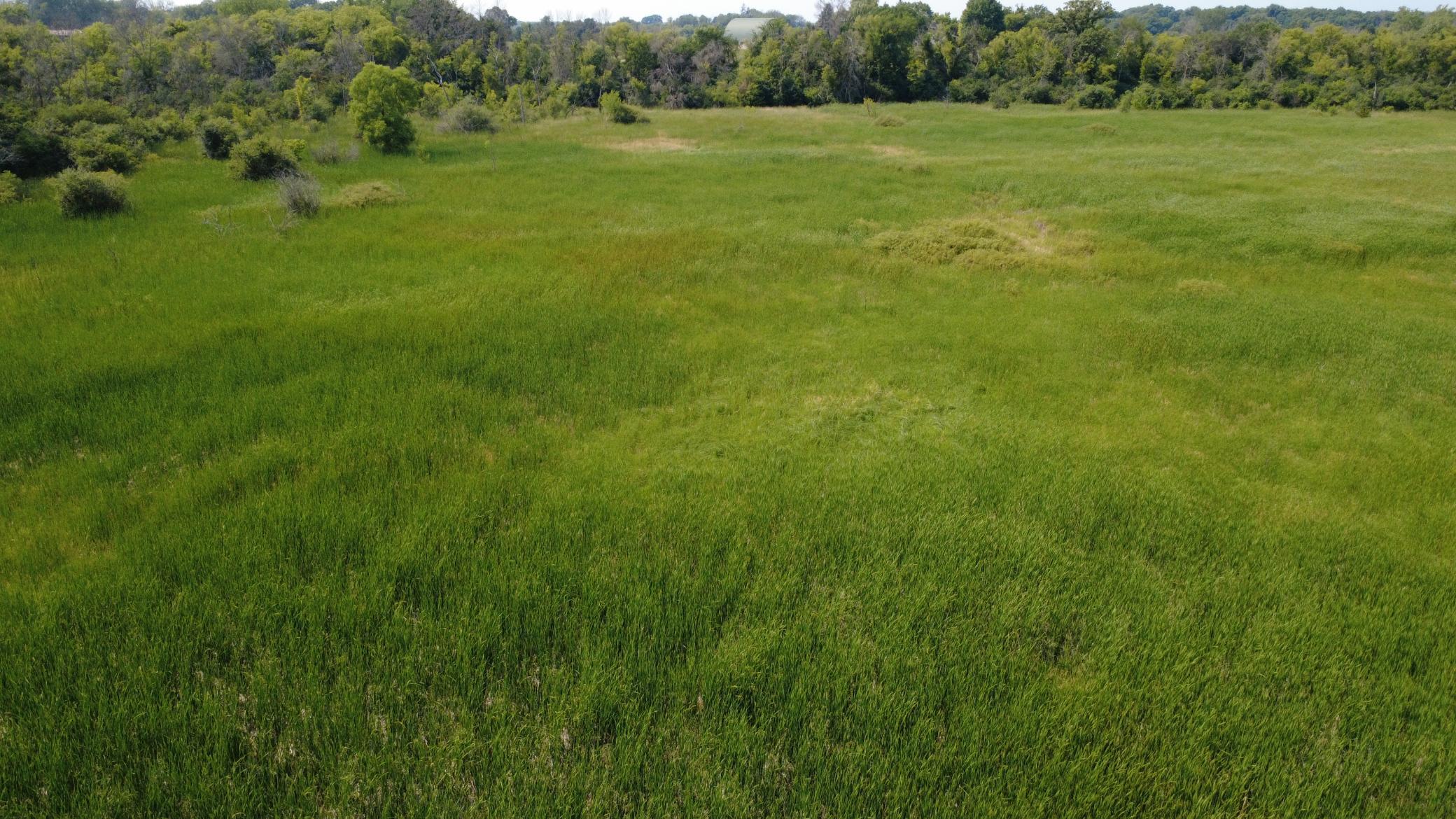 24+ acre seasonal recreational parcel featuring natural lowland habitat, hunting potential, and excellent opportunities for outdoor enjoyment